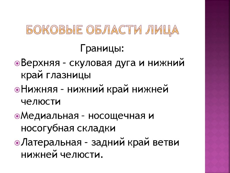 Боковые области лица Границы: Верхняя – скуловая дуга и нижний край глазницы Нижняя – Боковые области лица Границы: Верхняя – скуловая дуга и нижний край глазницы Нижняя –
